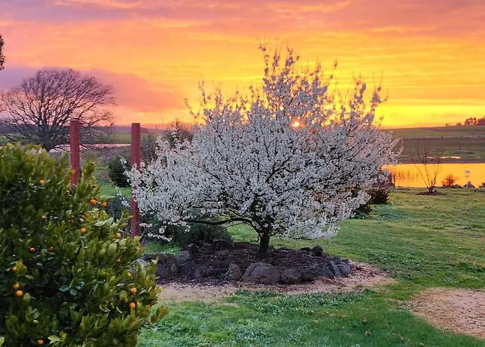 New Horizons Farm Stay