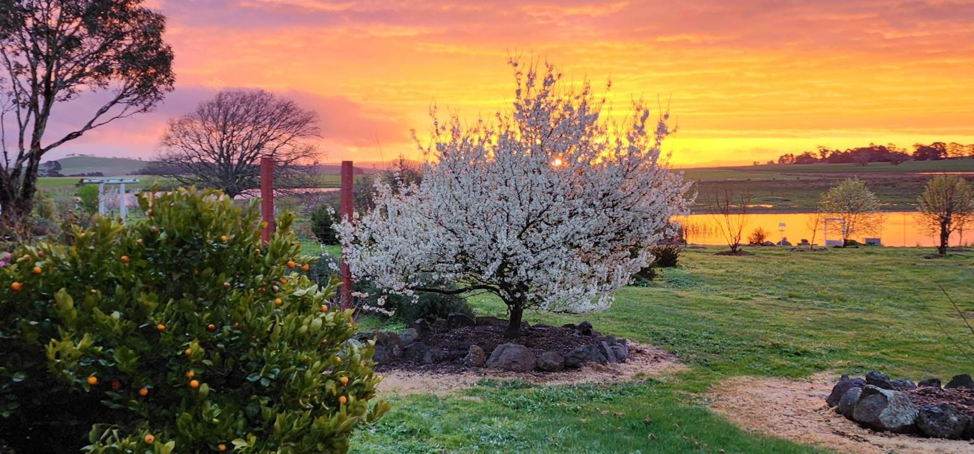 Guest house New Horizons Farm Smeaton
